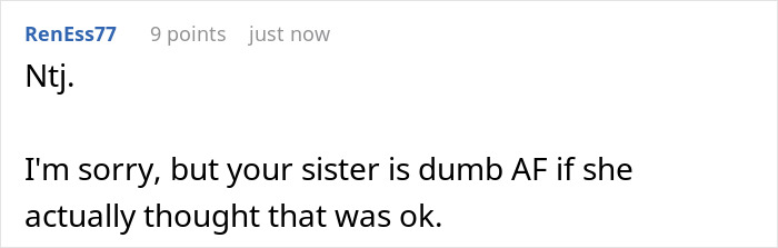 Comment criticizing sister's idea as dumb
