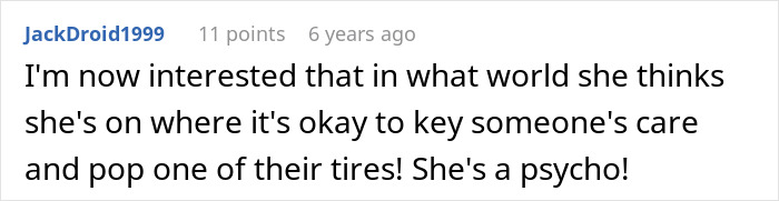 A user comment expressing disbelief about Dumb Karen keying a car and popping tires.
