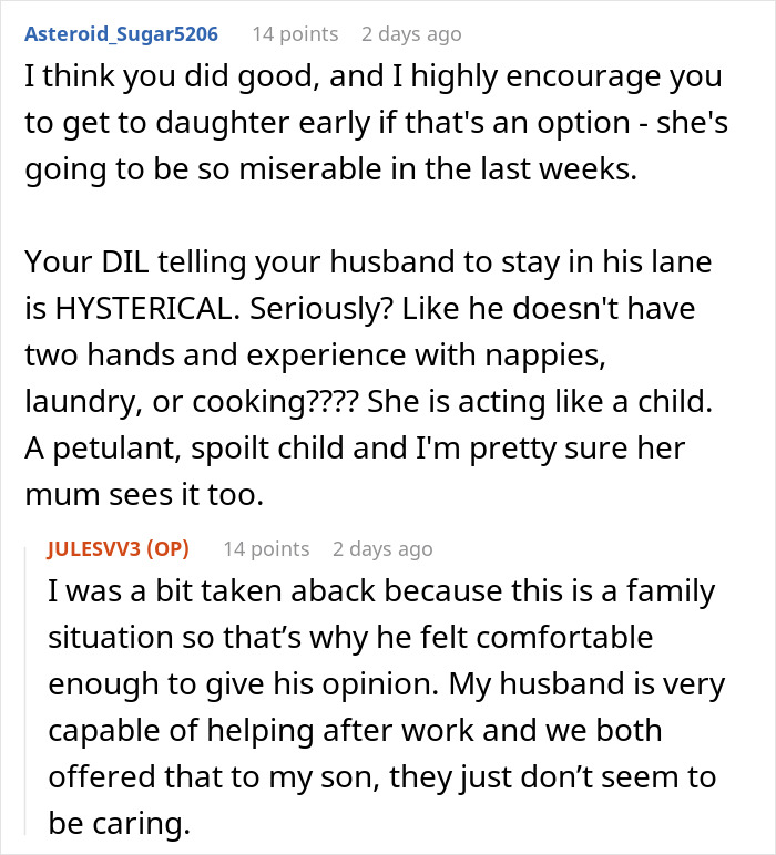 Reddit comments discussing the mother-in-law, daughter, and newborn twins situation. Reddit comments discussing the mother-in-law, daughter, and newborn twins situation.
