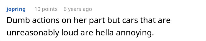 A concise comment acknowledging Dumb Karen's actions while also criticizing loud cars.