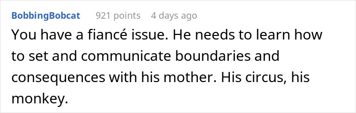 An online comment discussing a fiancé issue regarding the MIL scamming incident An online comment discussing a fiancé issue regarding the MIL scamming incident