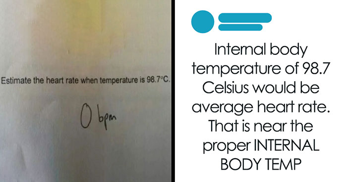 73 People Who Were Wrong In The Comments And Refused To Budge