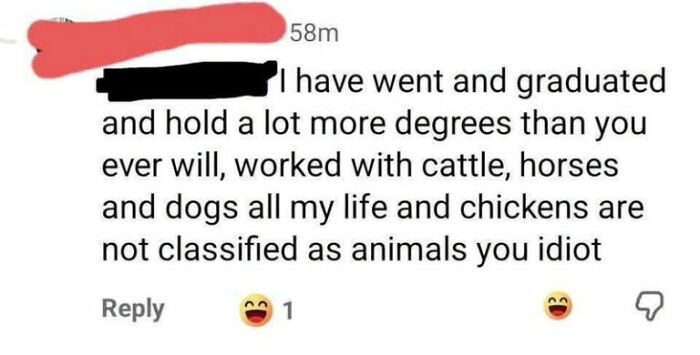 Person incorrectly claiming chickens are not animals in proudly stupid online comment