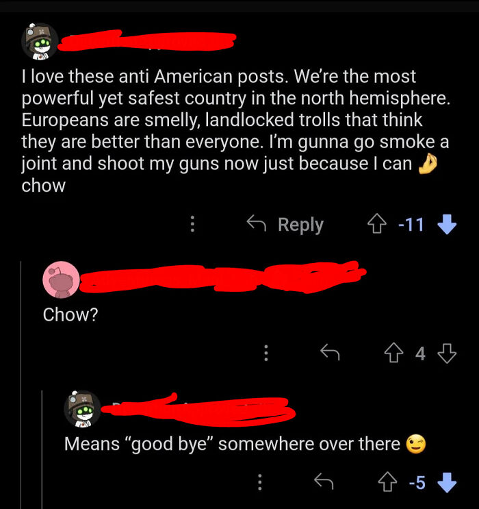 Facepalm-worthy online comments showing ignorance about America and language meanings