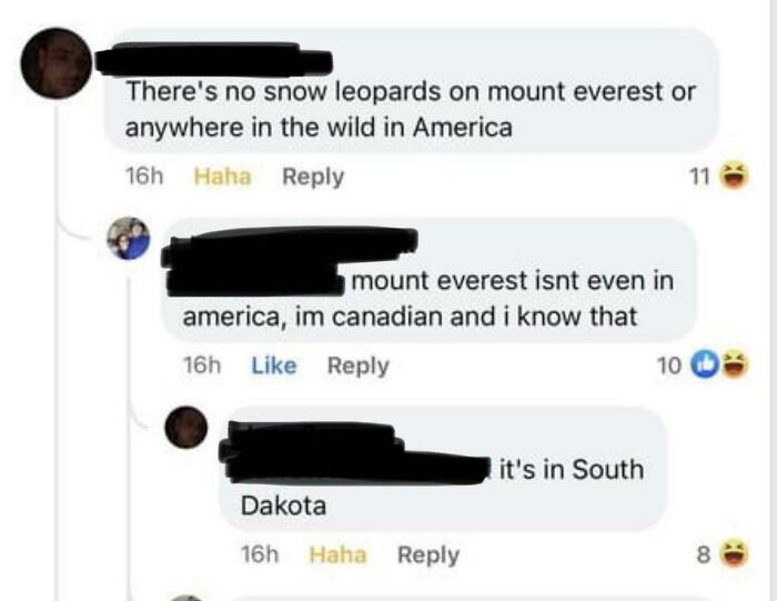 Incorrect claims about snow leopards and Mount Everest location in America