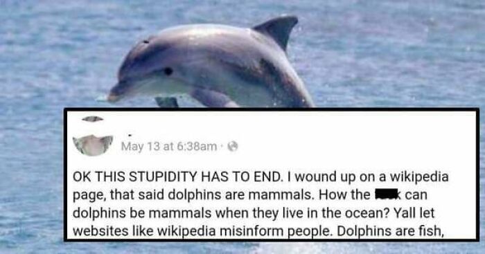 Social media post wrongly claiming dolphins are fish, showing ocean dolphin image