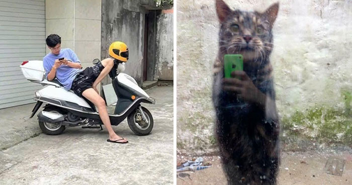 80 Photos That Make Your Brain And Your Eyes Fight About What’s Actually In Them