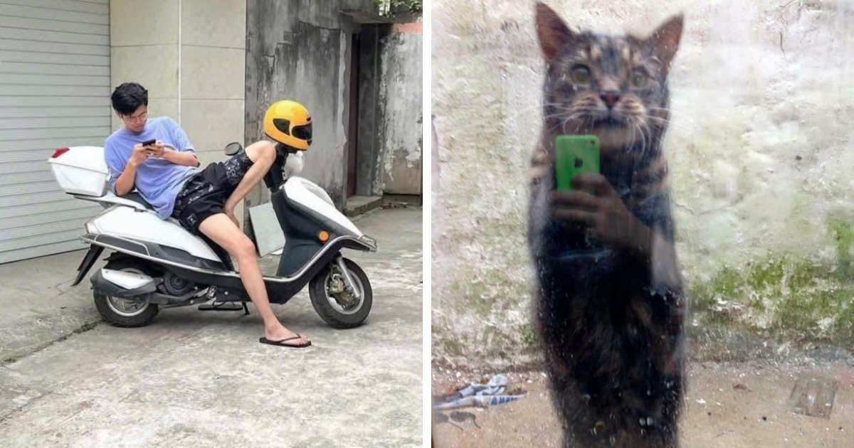 80 Photos That Make Your Brain And Your Eyes Fight About What’s Actually In Them