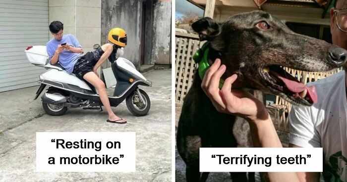 80 Photos That Make Your Brain And Your Eyes Fight About What’s Actually In Them
