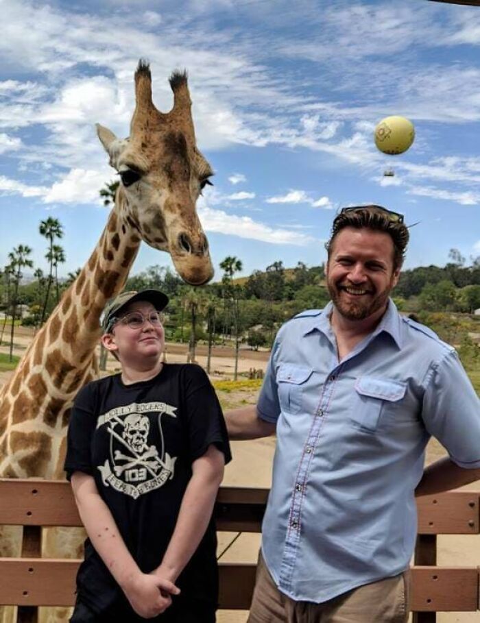 A confusing perspective of a giraffe that looks like it is resting its chin on a man's head