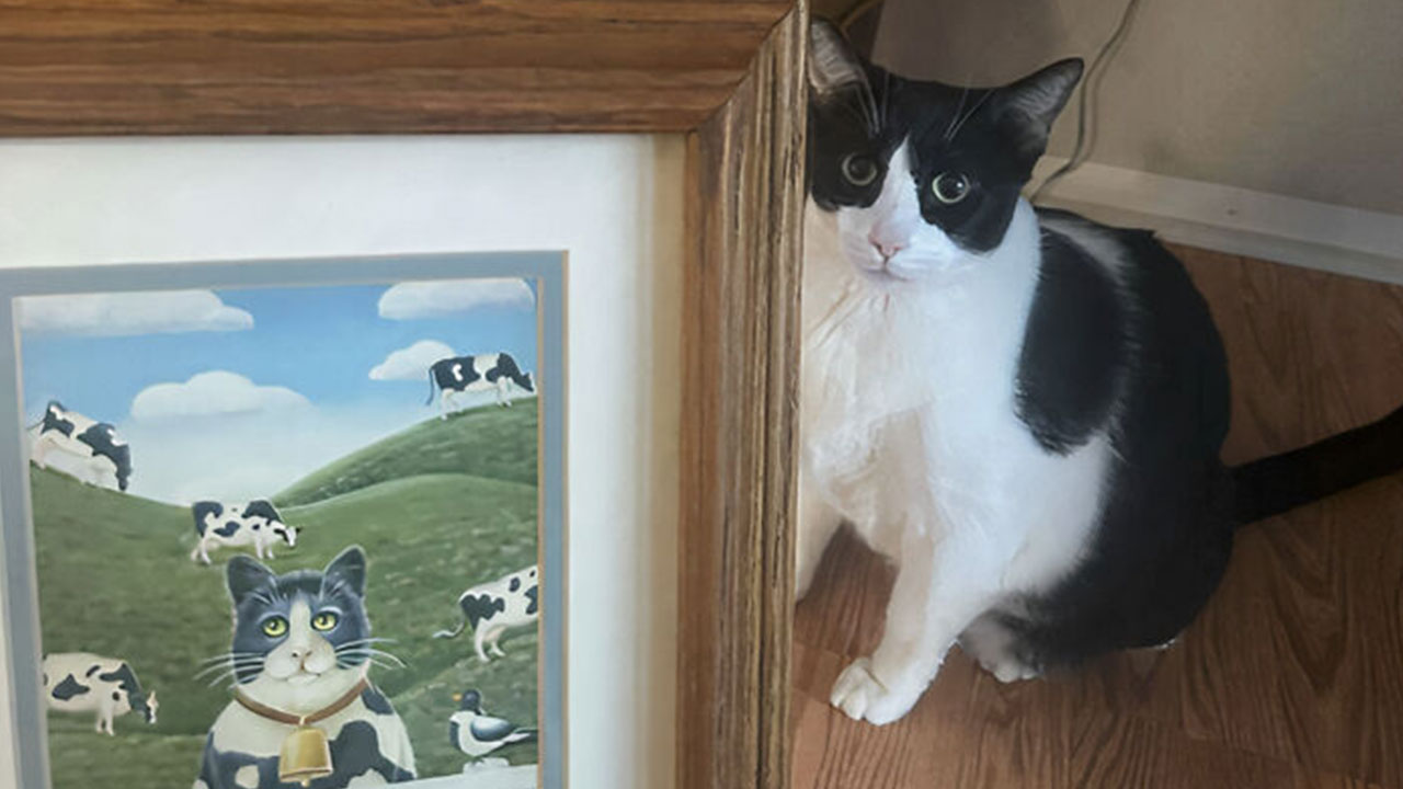 86 Thrift Store Finds That Made Digging Through Secondhand Shelves Totally Worth It