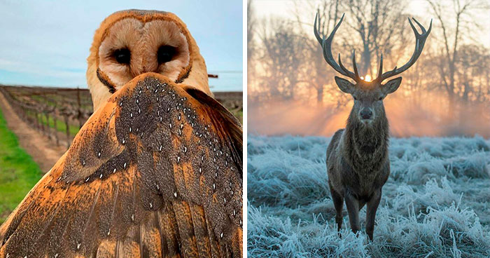106 Awe-Inspiring Photos That Prove Nature Is Freaking Lit (New Pics)