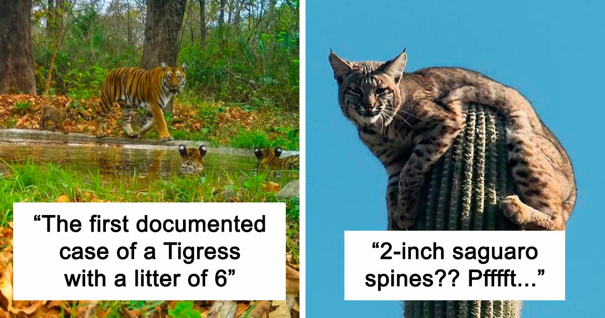 106 Incredibly Cool Photos Of Nature That People Couldn't Stop Staring At (New Pics)