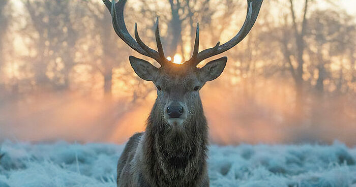 106 Awe-Inspiring Photos That Prove Nature Is Freaking Lit (New Pics)
