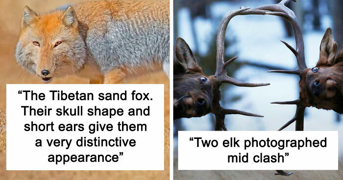 106 Awe-Inspiring Photos That Prove Nature Is Freaking Lit (New Pics)