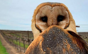 106 Awe-Inspiring Photos That Prove Nature Is Freaking Lit (New Pics)