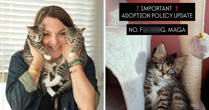Nonprofit Under Fire After Refusing To Let Specific Group Of People Adopt Kittens: “How Did They Know?”