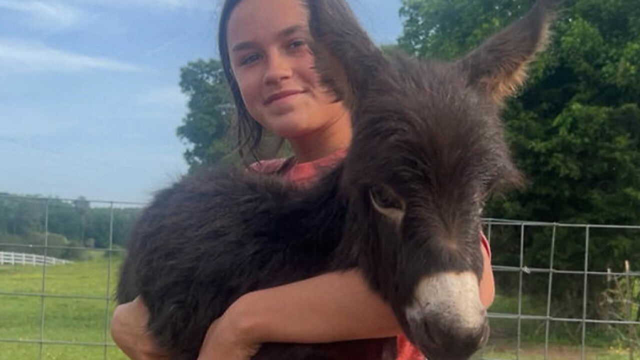 Georgia Cop Reveals Why He Fatally Fired On Baby Donkey As Owner Shares Heartbreaking Clip Of HeeHaw’s Last Days