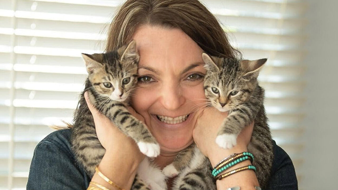 Nonprofit Under Fire After Refusing To Let Specific Group Of People Adopt Kittens: “How Did They Know?”