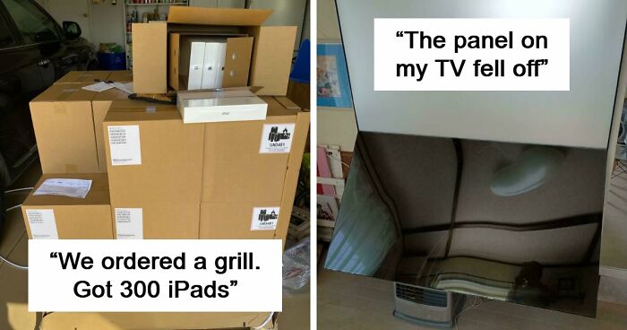 The World Is Getting Crazier Every Day And These 59 Photos Are Evidence