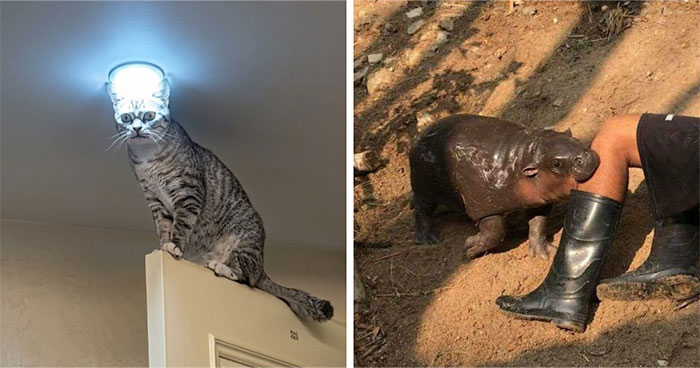 69 Chaotic, Uncomfortable, And Disturbing Pics To Make You Doubt Your Own Or Someone Else’s Sanity