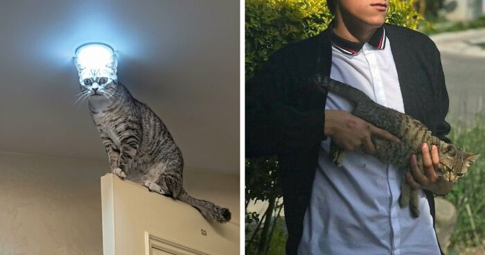 69 Weird Pics That Are Uncomfortable To Look At, But You Can’t Look Away