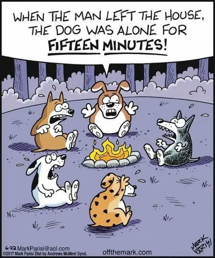 An animal meme comic showing five dogs looking terrified around a campfire, after their owner left for 15 minutes.