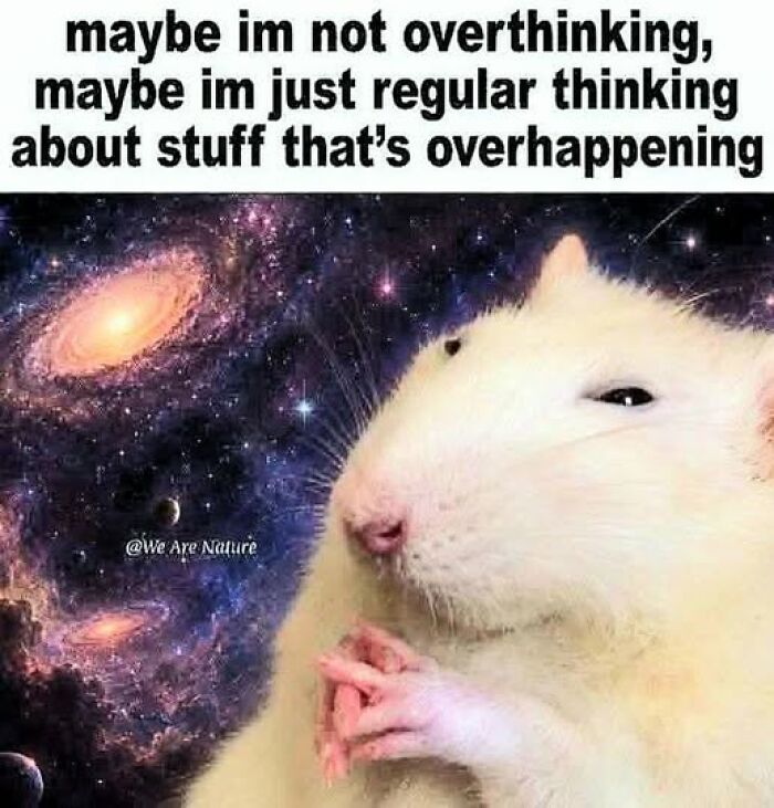 A white rat with a cosmic background, striking a thoughtful pose for a relatable animal meme.