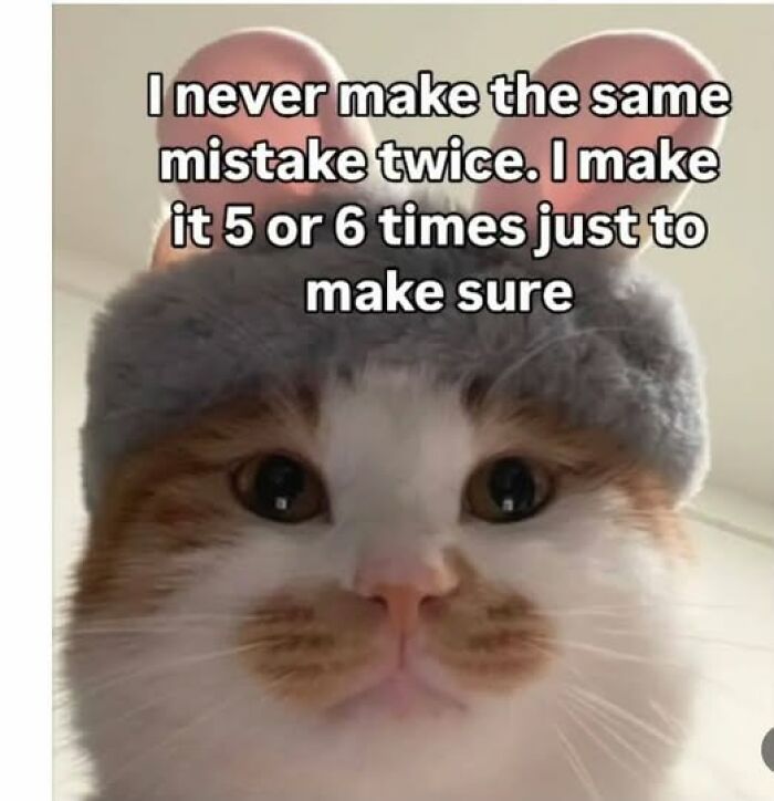 A cat wearing bunny ears with a text overlay that says 'I never make the same mistake twice. I make it 5 or 6 times just to make sure'. This is an animal meme.