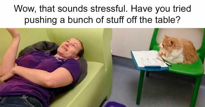 “I Can Relate To The Core”: 78 Animal Memes That Prove The Internet Was Made For This Exact Purpose