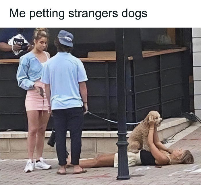 Hilariously adorable dog being petted by a woman lying on the sidewalk while its owner watches, a funny dog meme.