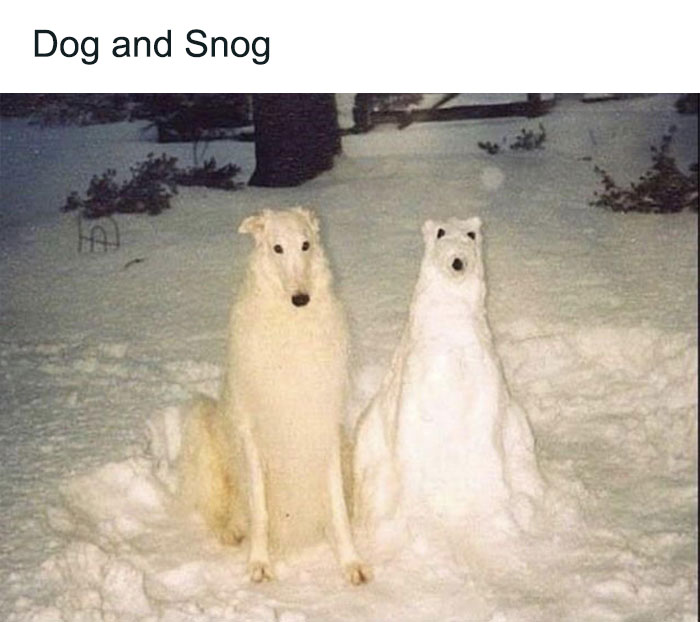 A white long-haired dog sitting next to a snow dog sculpture, creating a funny dog meme.