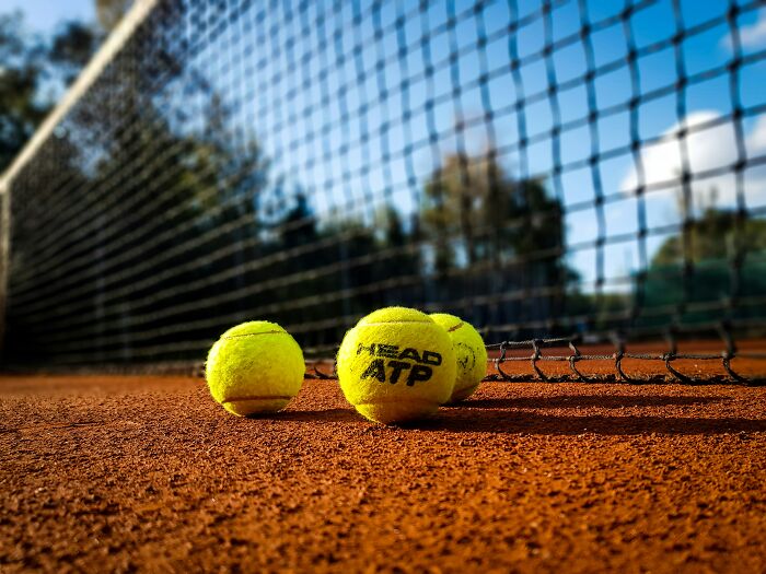 Three tennis balls near a tennis net, symbolizing the size comparison for the UK spider invasion. Three tennis balls near a tennis net, symbolizing the size comparison for the UK spider invasion.