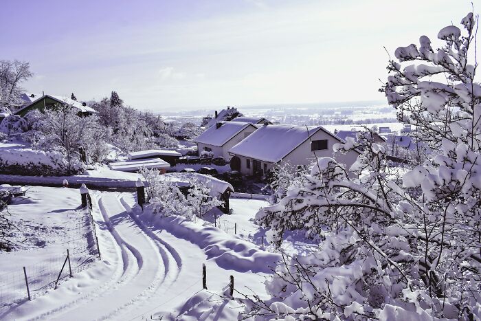 A snow-covered suburban neighborhood with houses, representing property line arguments in court