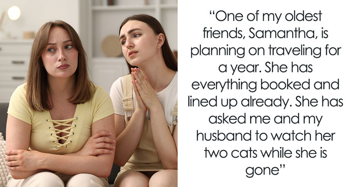 Woman Declines Friend’s Year-Long Cat-Sitting Request, Then Learns She Had Another Option All Along