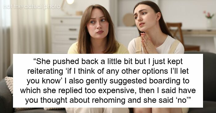 Woman Declines Friend’s Year-Long Cat-Sitting Request, Then Learns She Had Another Option All Along