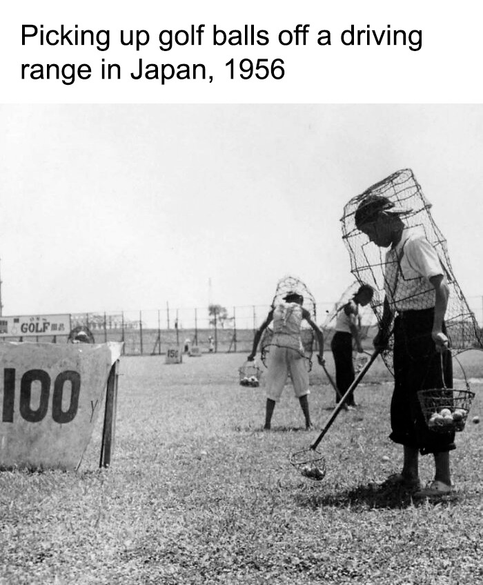 Vintage photo showing the past as people in protective cages pick up golf balls in Japan, 1956