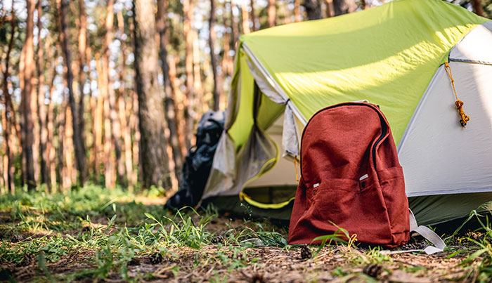 A green tent set up in a lush forest with a red backpack in the foreground, suggesting a journey with plot twists.