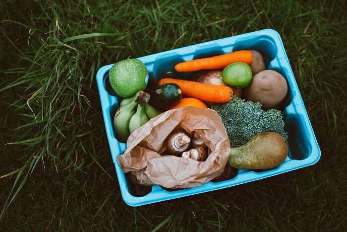 A blue container of fresh produce including carrots, apples, bananas, and broccoli on green grass. Industry insiders know dirty truths.