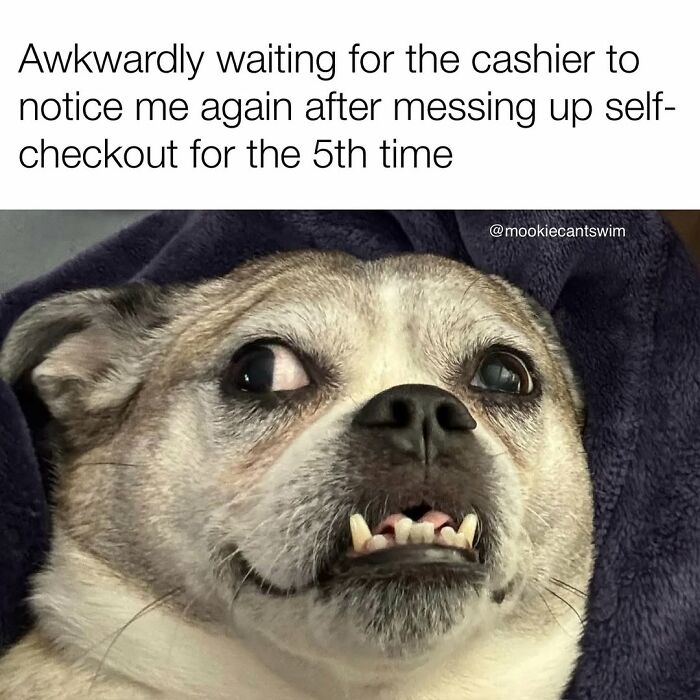 A small dog showing its teeth with an awkward look, featured in funny memes about self-checkout struggles.