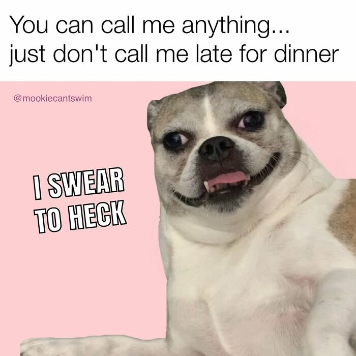 Happy dog smiling with a funny quote, showing off its ridiculous expressions in a meme.