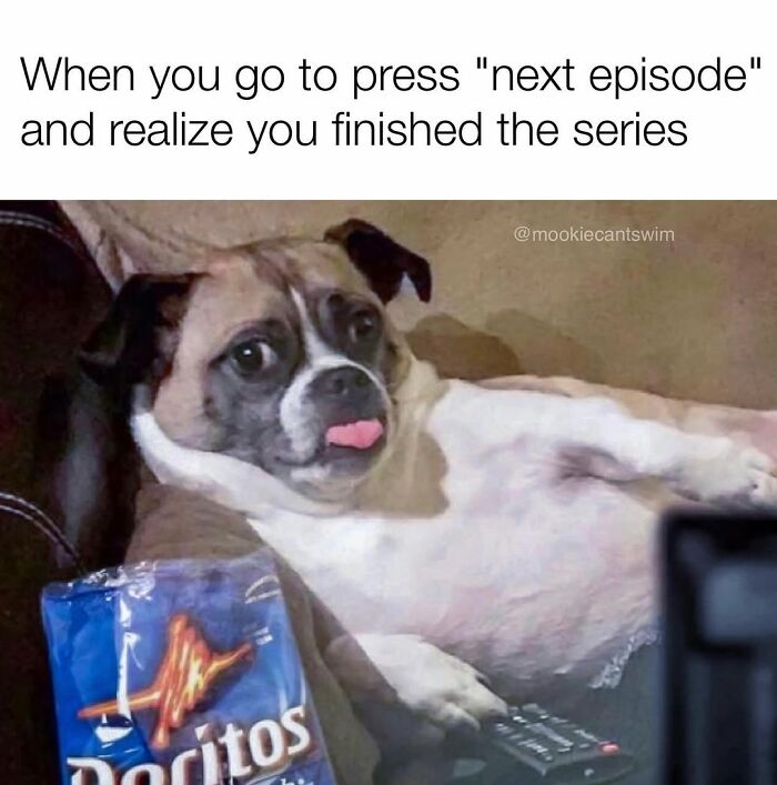 Relatable dog owner meme of a pup holding a remote control next to a bag of chips.