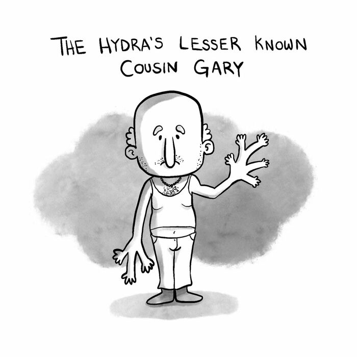 These 30 ‘Soggy Panels’ Comics Turn Random Thoughts Into Delightfully Absurd Jokes-Interview