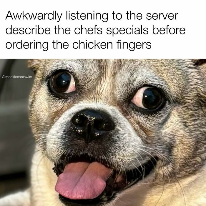A funny dog meme showing a wide-eyed pup with its tongue out, depicting an awkward ordering situation.
