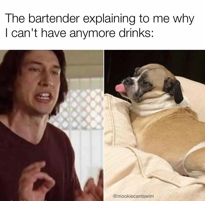 Funny side-by-side comparison of a talking man and a dog sticking out its tongue for a relatable meme.