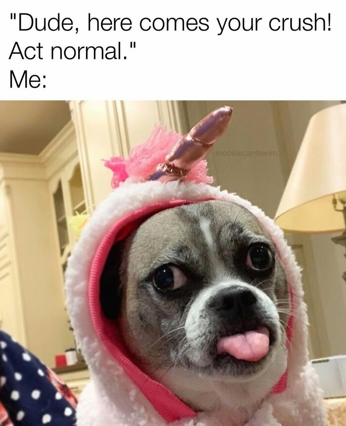 Cute dog wearing a unicorn hood sticking its tongue out in a funny, relatable meme.