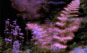 28 Ethereal Images By Lela Amparo That Turn Real Landscapes Into Immersive Art