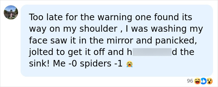 Tennis ball sized spiders, a comment about finding a spider on a shoulder and panicking. Tennis ball sized spiders, a comment about finding a spider on a shoulder and panicking.