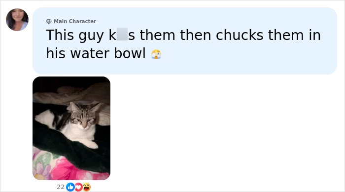 Tennis ball sized spiders, a comment describing a cat with a spider in its water bowl. Tennis ball sized spiders, a comment describing a cat with a spider in its water bowl.