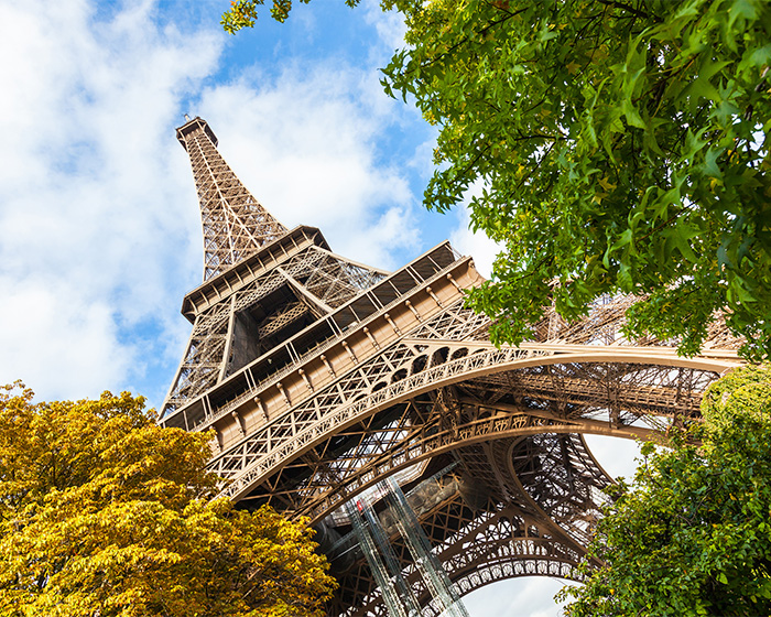The Eiffel Tower stands tall against a blue sky, surrounded by green and yellow trees, now closed amid outrage.